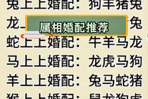 属相婚配十二生肖配对图表，属相婚配十二生肖配对图表图片？