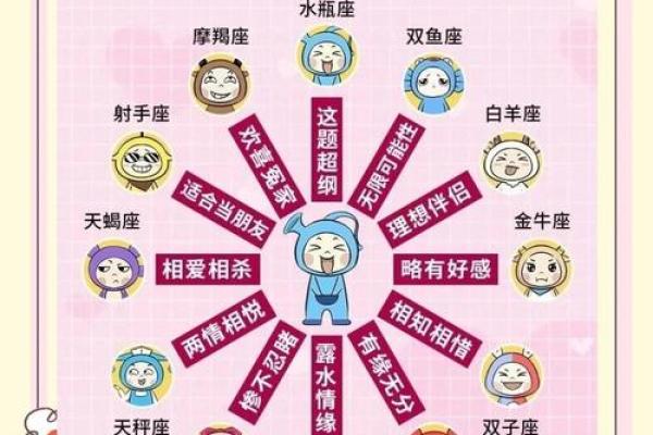 12星座最适合做什么家务