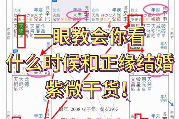 紫微斗数正统 紫微斗数!？