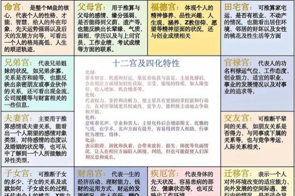 紫薇斗数财阜宫