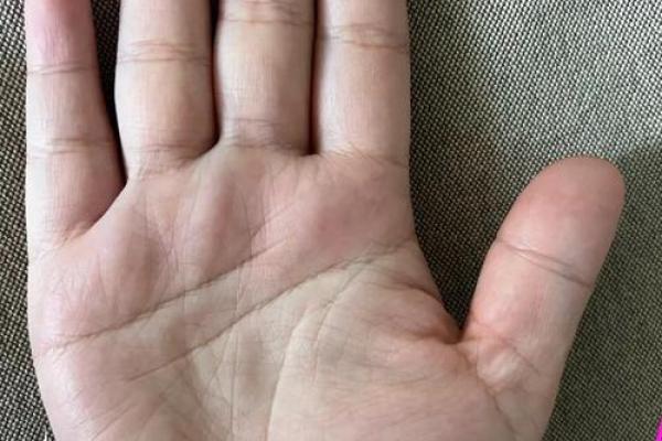手型算命：水型人的性格与命运