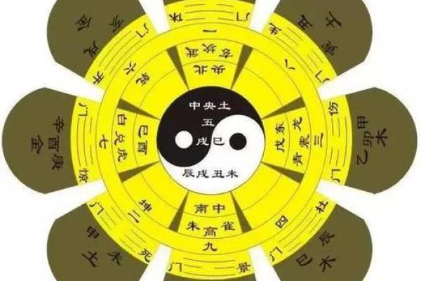 养狗生辰八字
