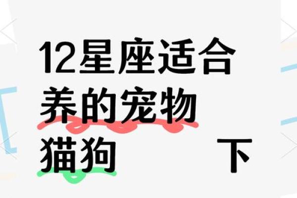 生肖狗摩羯座男的性格特点以及配对解析