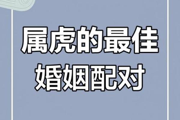 生肖虎配对