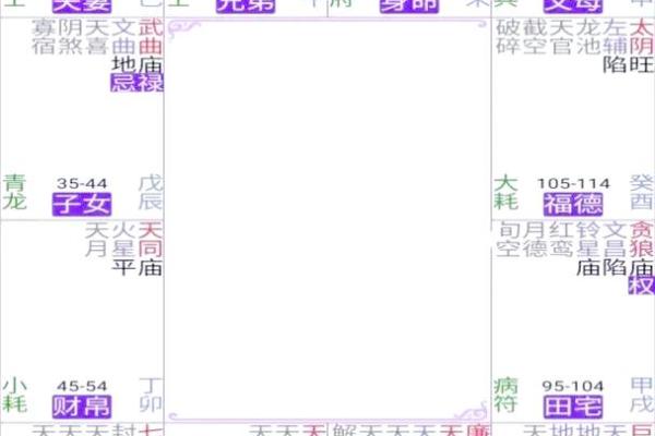 紫薇斗数明日运势