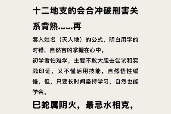 属蛇姓名五行配对 属蛇五行查询？
