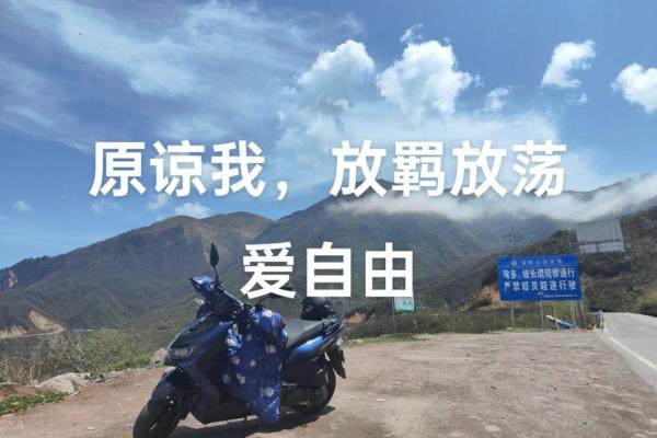 原谅我放荡不羁爱自由，浪子星座