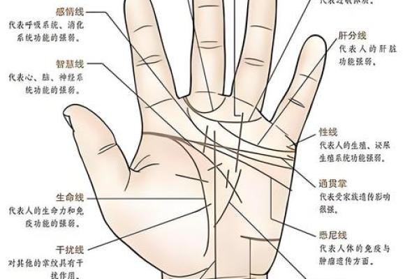 看手相算命：第六课 实际看