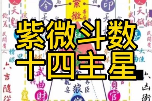 天煞紫薇斗数