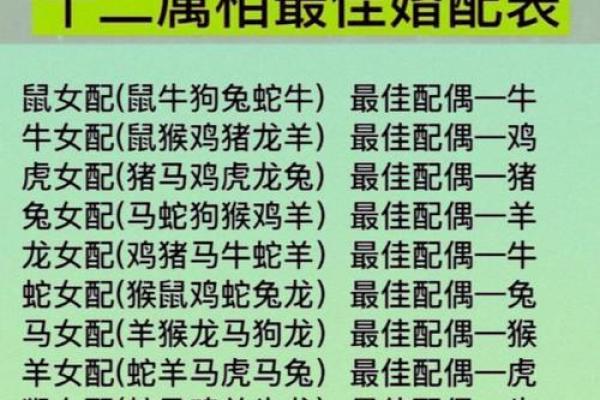 兔鼠生肖配对姻缘 兔与鼠的婚姻相配吗