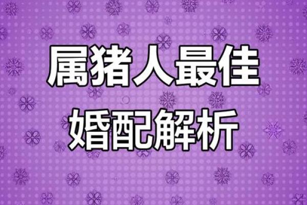 属猪的女人和什么属相最配对 属猪的女人和什么属相最配婚姻