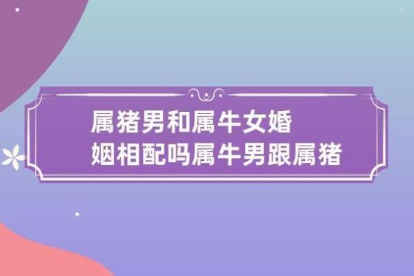 属猪的女人和什么属相最配对 属猪的女人和什么属相最配婚姻