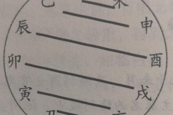 八字十二地支三合六合详细解说