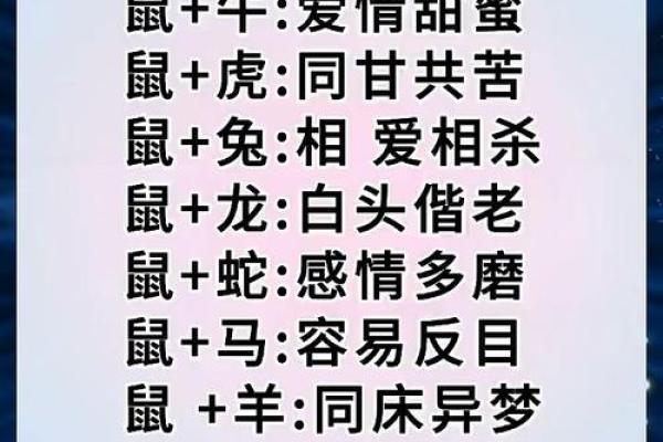 鼠狗生肖配对姻缘合适吗 鼠狗婚配的婚姻如何？