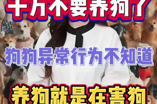 养狗风水禁忌 这样养狗只会破财招灾