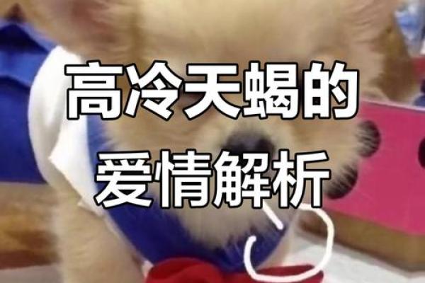 哪个星座高冷毒舌最强