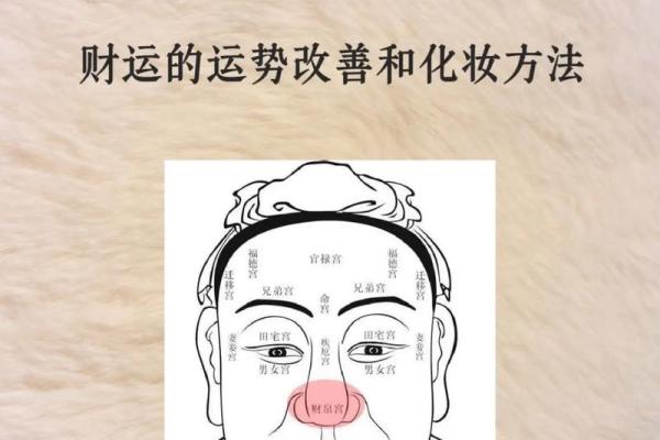 紫微排盘命财帛宫自化忌 财帛宫自化忌是什么意思