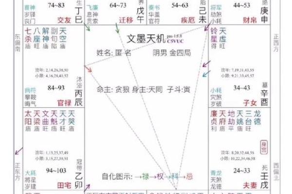 紫微排盘命财帛宫自化忌 财帛宫自化忌是什么意思