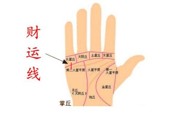 财运线算命