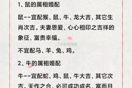 属相婚配十二生肖配对图表，属相婚配十二生肖配对图表图片？