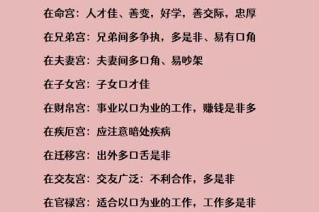 紫微斗数正统 紫微斗数!？