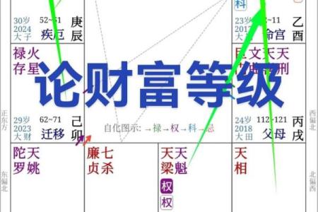 名人紫薇斗数赏析