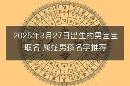 属蛇姓名五行配对 属蛇五行查询？