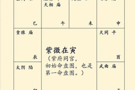 紫微斗数之：看六亲