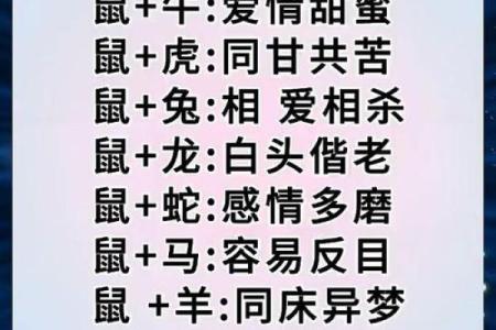 鼠狗生肖配对姻缘合适吗 鼠狗婚配的婚姻如何？