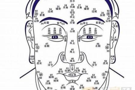 面相与八字：如何通过面相了解八字命运