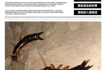 家里风水_家里突然出现多个潮虫是什么征兆