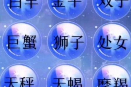 哪四个星座女是圆脸的