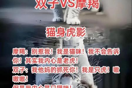 摩羯女和双子男配对指数是多少 摩羯女和双子男适合在一起吗