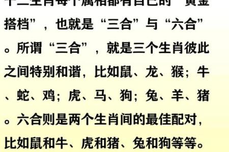 1968年属什么生肖几岁 1968年属什么生肖配对