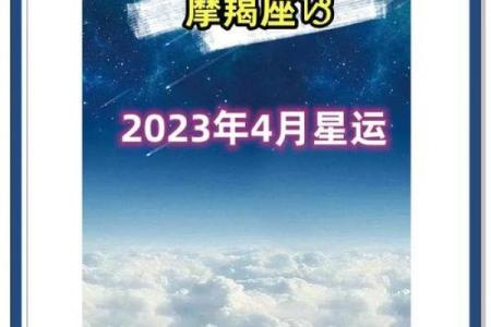 猎鹰上升星座摩羯运势2024