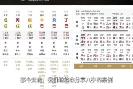 八字印在地支
