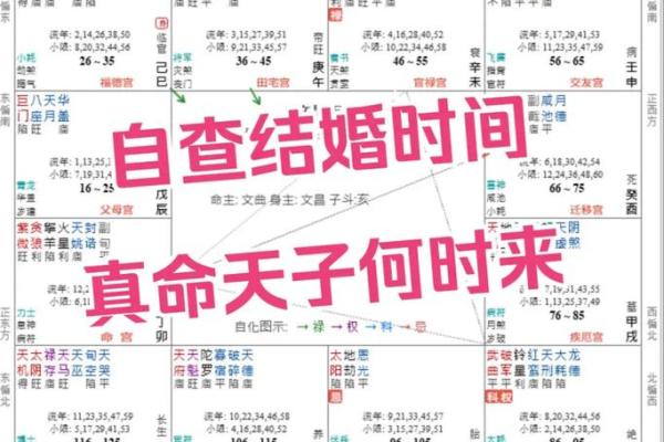 紫薇斗数怎么看桃花是不是正缘