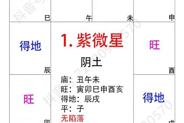 紫薇斗数的相 庙是什么意思