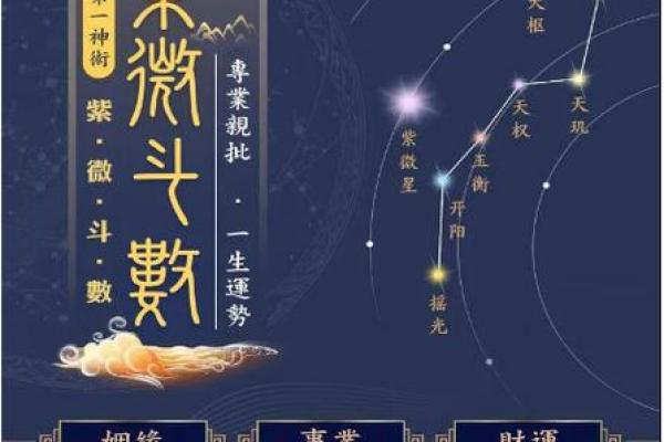 紫薇斗数国运