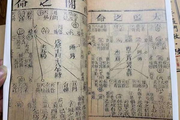 在线阅读紫微斗数全书 紫微斗数书籍在线阅读下载？
