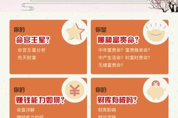 紫微斗数财运为负 紫微斗数看财运级别？