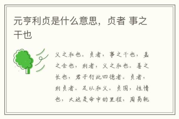 紫薇斗数元亨利贞