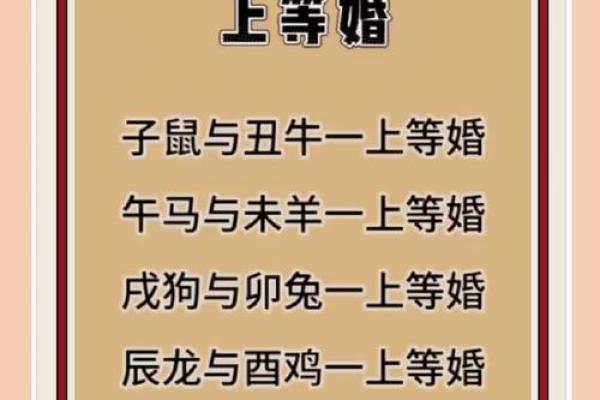 父母与子女属相配对
