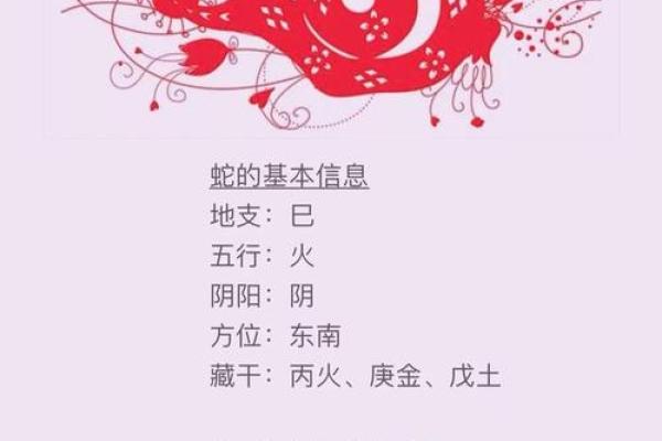 19岁属什么生肖配对 属蛇配对