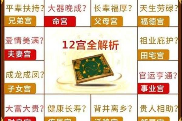 紫薇星入兄弟宫旺科