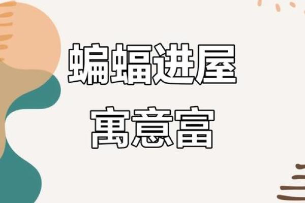 蝙蝠入屋是不吉利的吗风水上讲预示着什么-