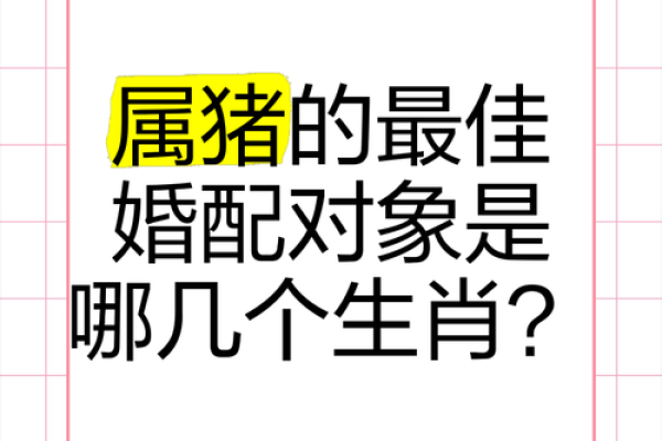 猪跟什么生肖配对最好 生肖猪最佳配对