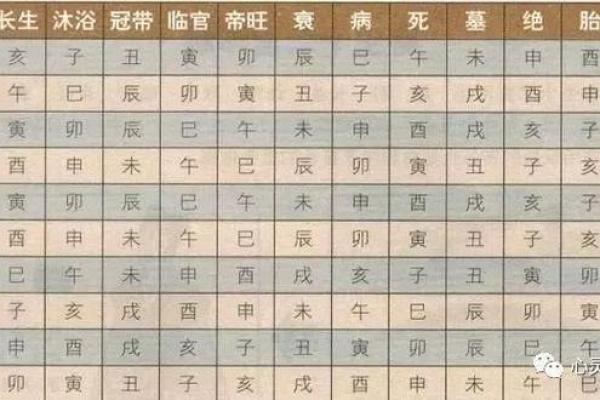 八字命理中的身旺与身弱
