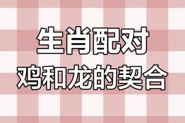 鸡跟什么生肖配对最好 生肖鸡最佳配对
