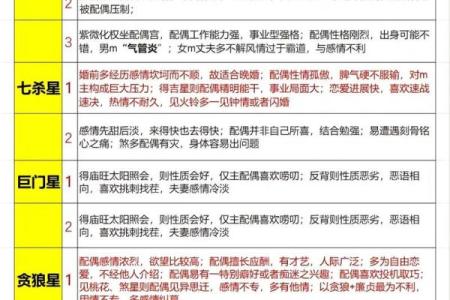 紫薇斗数国运